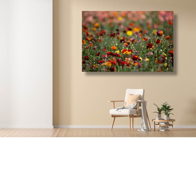 Ongeplukt veldboeket 1