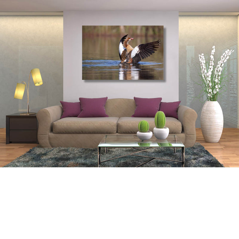 Nijlgans met zelfvertrouwen 1