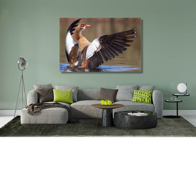 Nijlgans met zelfvertrouwen 2