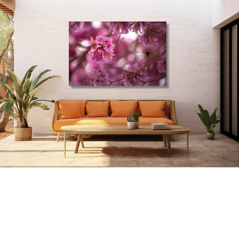 Roze trompetboom