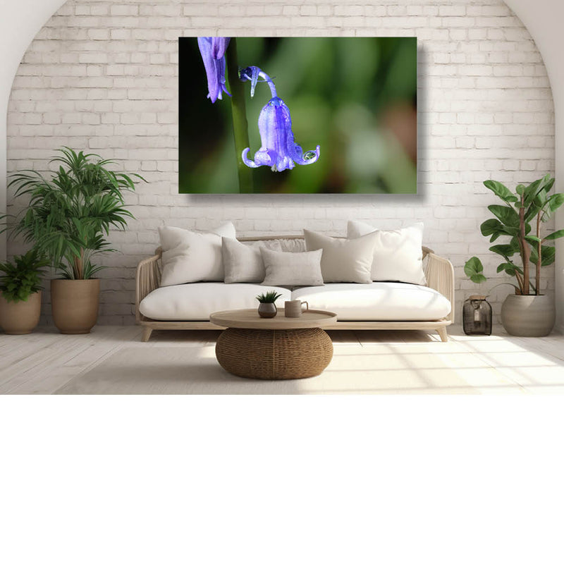 Op zoek naar de boshyacint 1