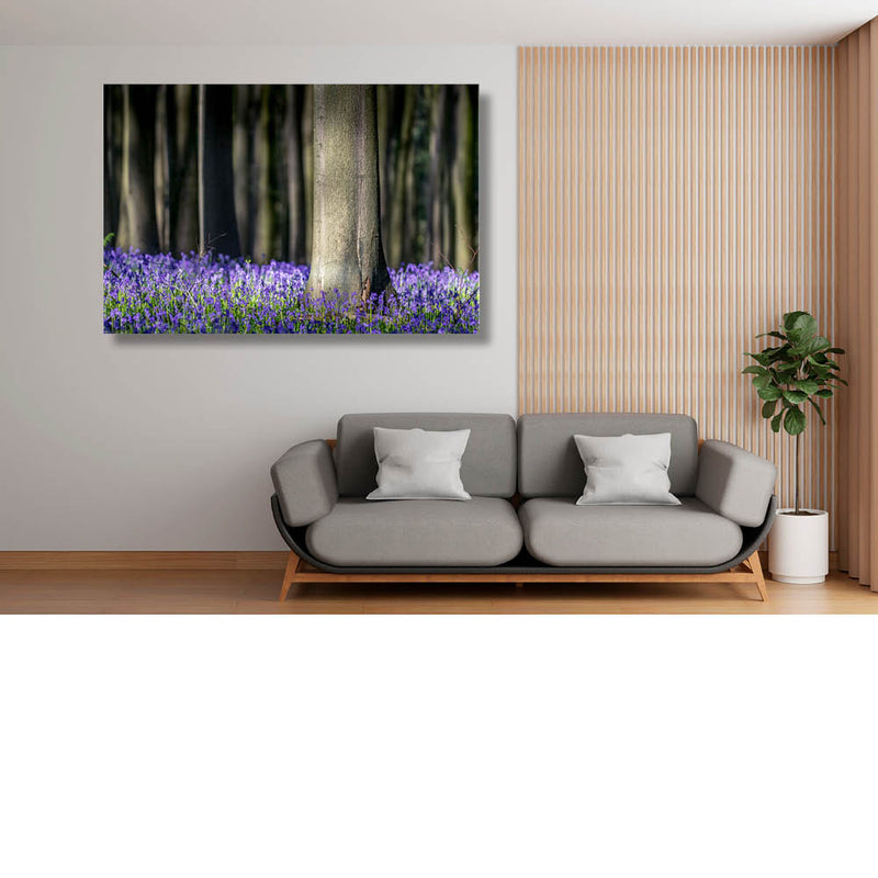 Op zoek naar de boshyacint 2