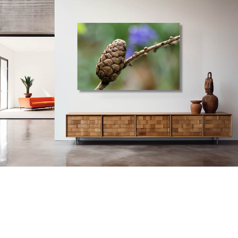 Op zoek naar de boshyacint 5