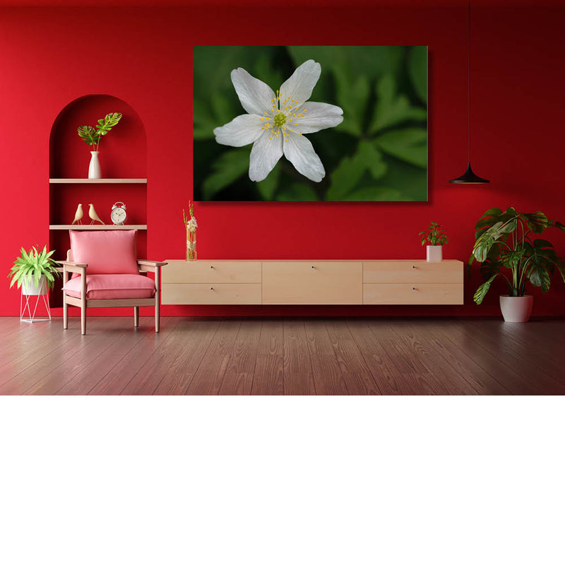 Eenvoud siert