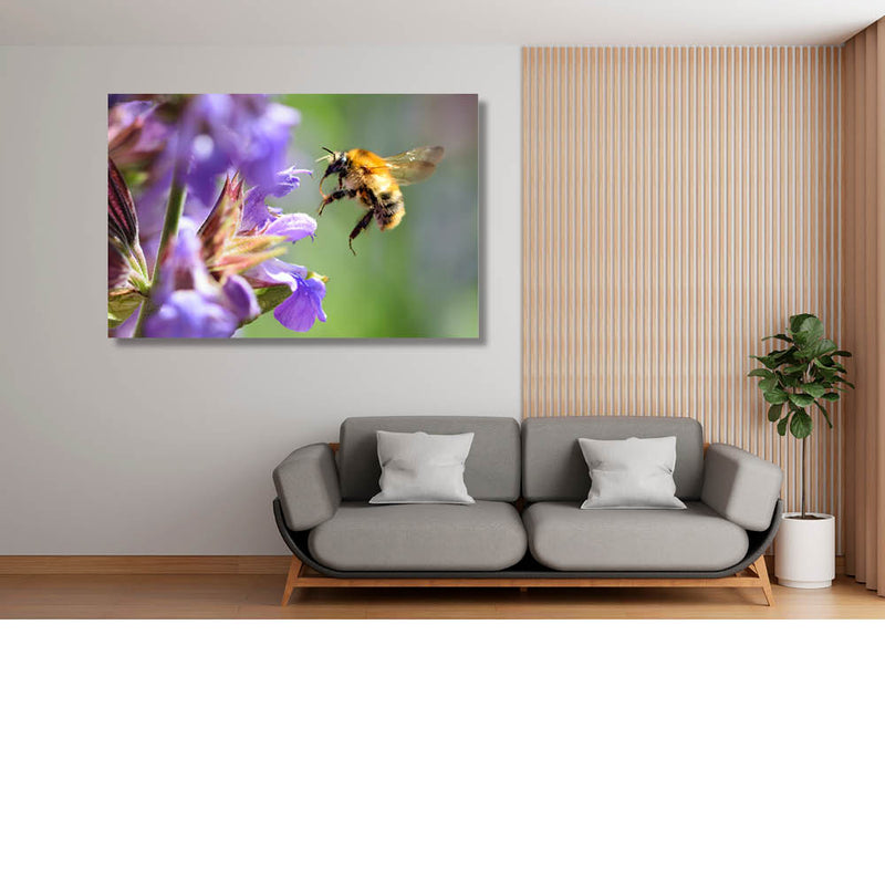 Hommel aan het werk