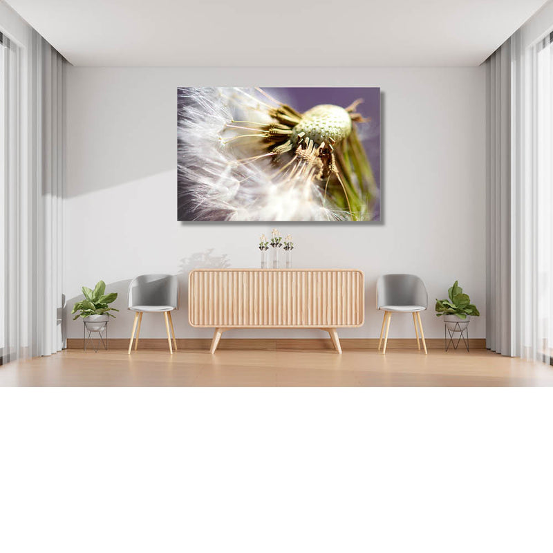 Pluisjes in de wind 2