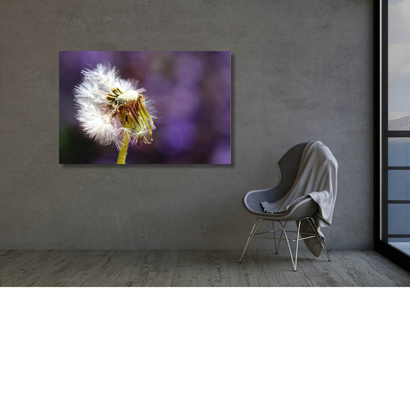 Pluisjes in de wind 3