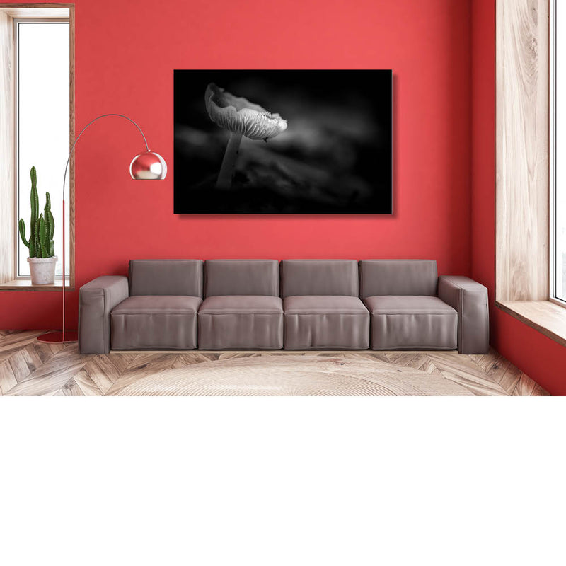 Roze mutsje in zwart-wit