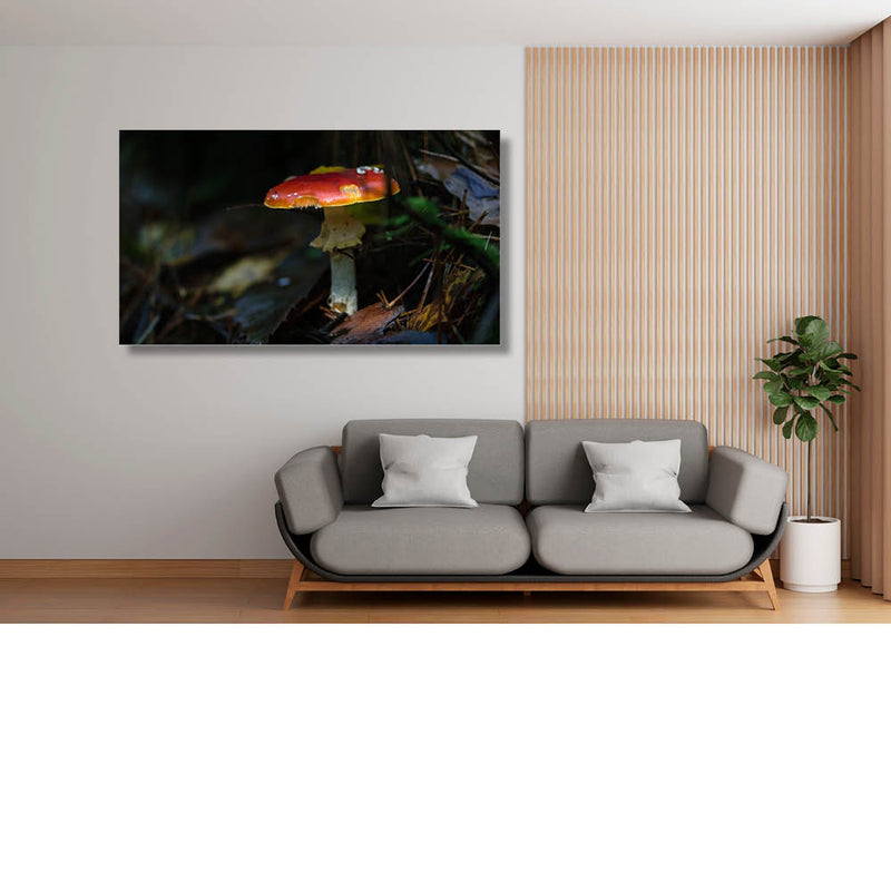 Verstopte vliegenzwam