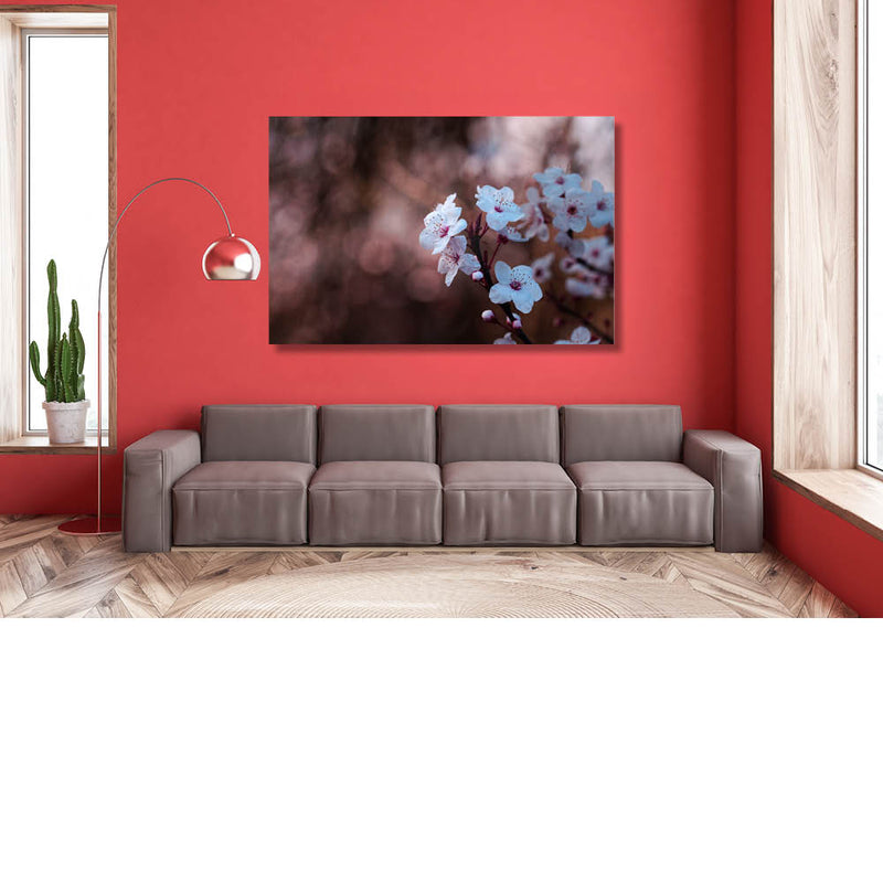 Kersenbloesem met blauwe schijn