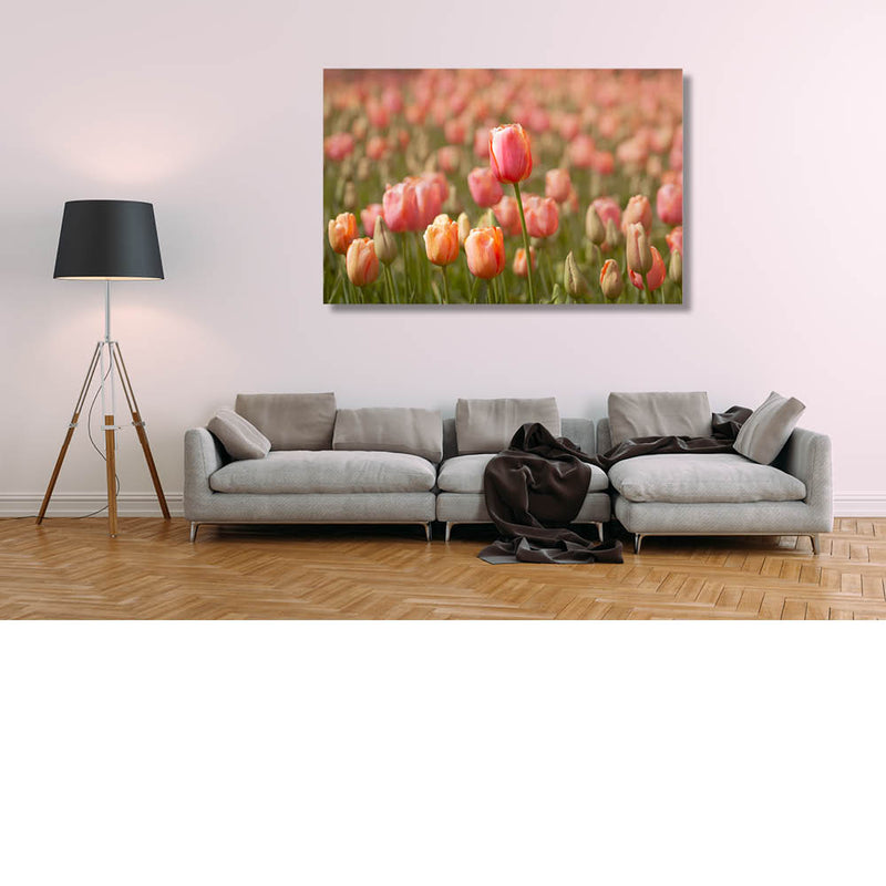 Pasteltulpen