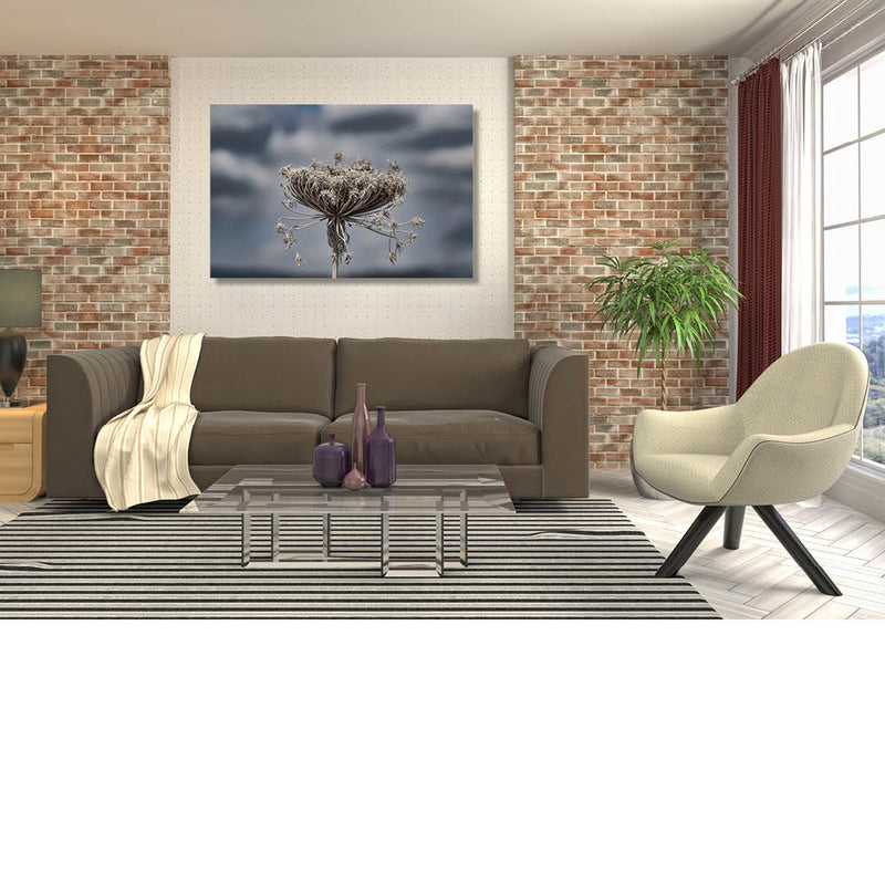 Verdorde wilde peen 1