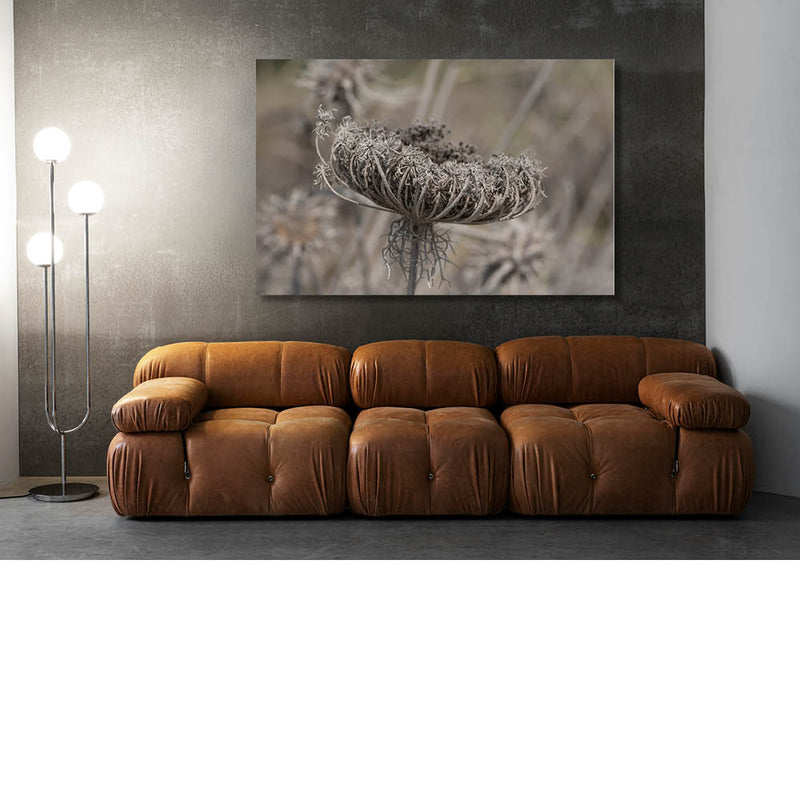 Verdorde wilde peen 2