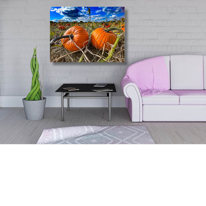 Klaar voor de pompoensoep