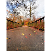 Deze brug lijkt wel naar de herfst te leiden, met mooie kleuren aan de overkant.