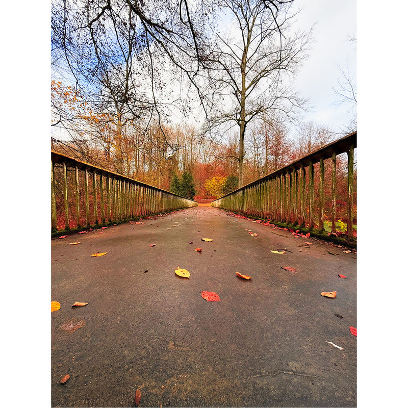 Deze brug lijkt wel naar de herfst te leiden, met mooie kleuren aan de overkant.