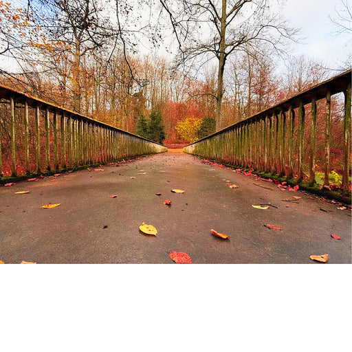 Deze brug lijkt wel naar de herfst te leiden, met mooie kleuren aan de overkant.