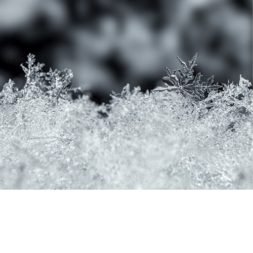 Sneeuwvlokken worden gevormd wanneer waterdamp in de lucht condenseert tot ijskristallen rondom kleine deeltjes, zoals stof of pollen.