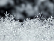 Sneeuwvlokken worden gevormd wanneer waterdamp in de lucht condenseert tot ijskristallen rondom kleine deeltjes, zoals stof of pollen.