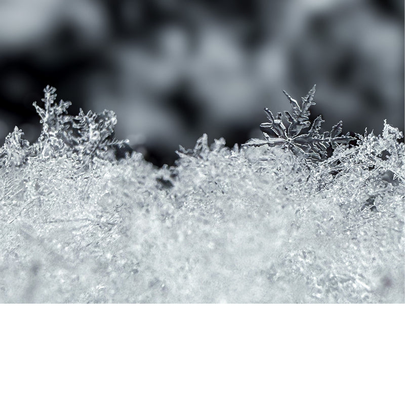 Sneeuwvlokken worden gevormd wanneer waterdamp in de lucht condenseert tot ijskristallen rondom kleine deeltjes, zoals stof of pollen.