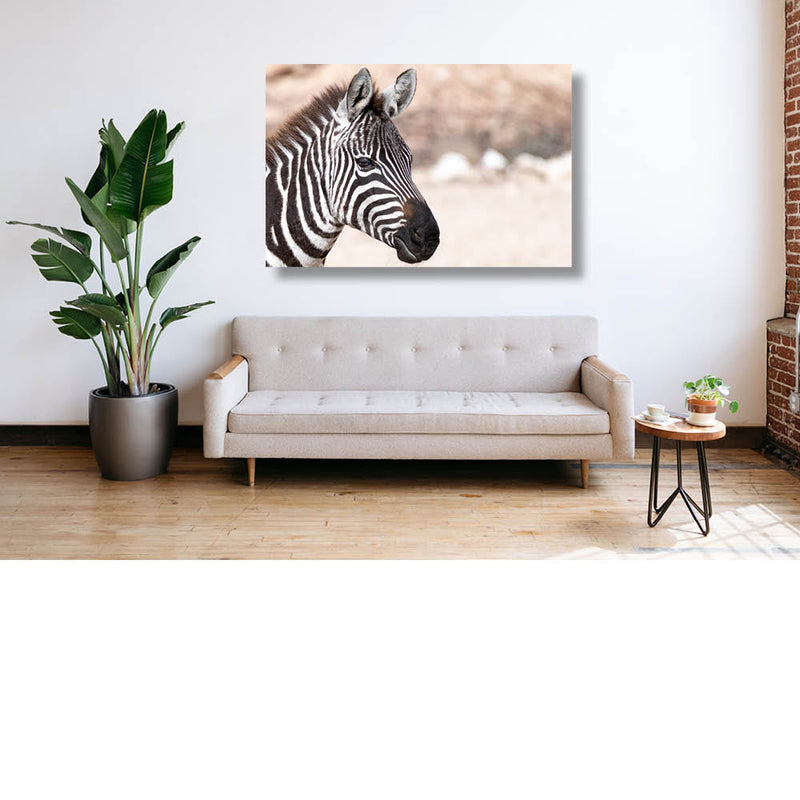Zebraportret