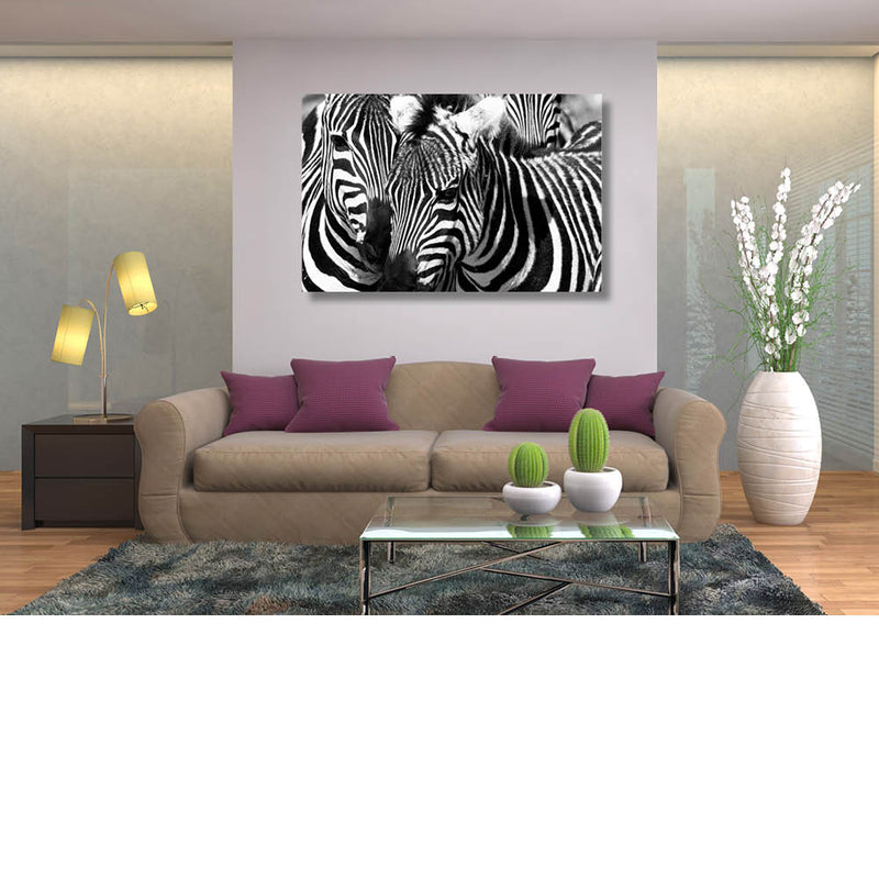 Zebra duoportret