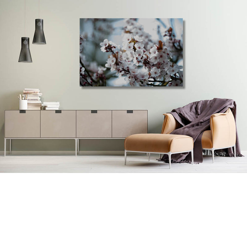 Variaties Kersenbloesem 1