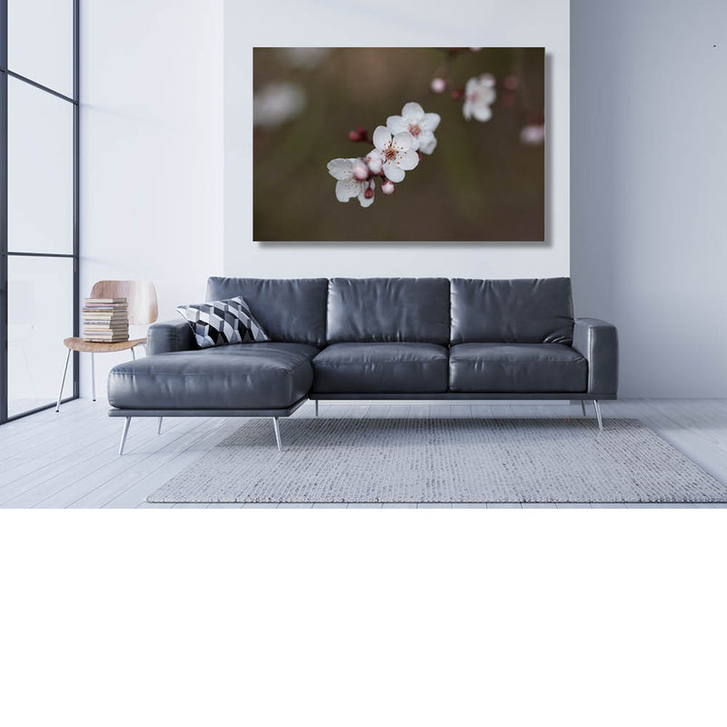 Variaties Kersenbloesem 2