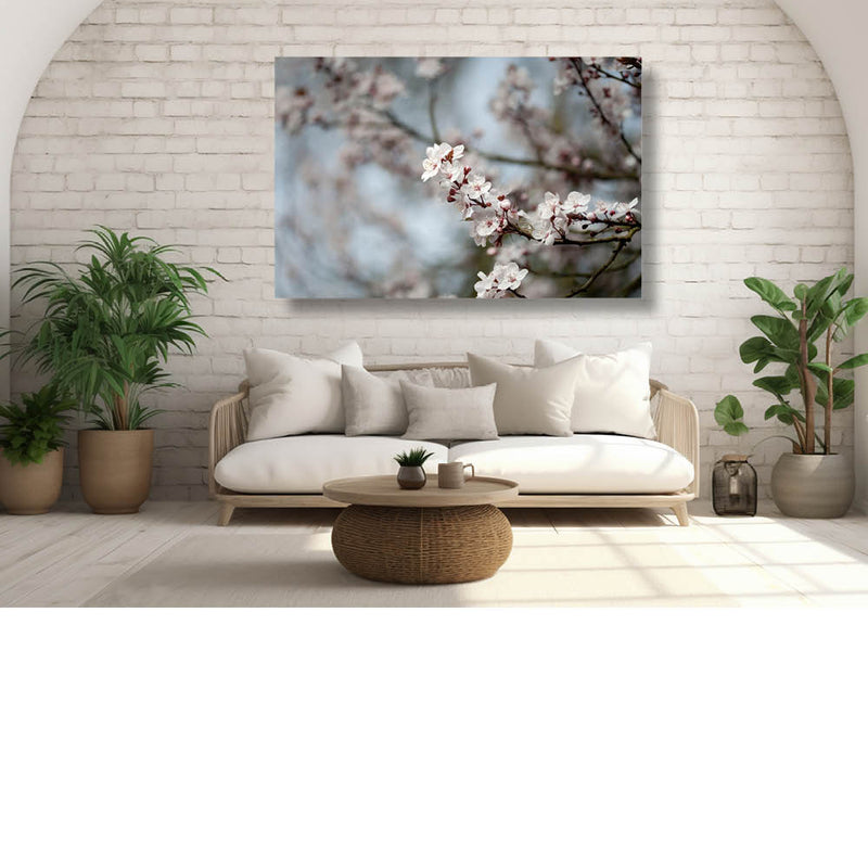 Variaties Kersenbloesem 6