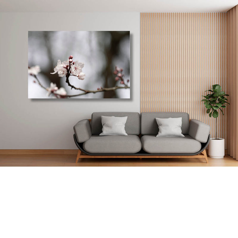 Variaties Kersenbloesem 7