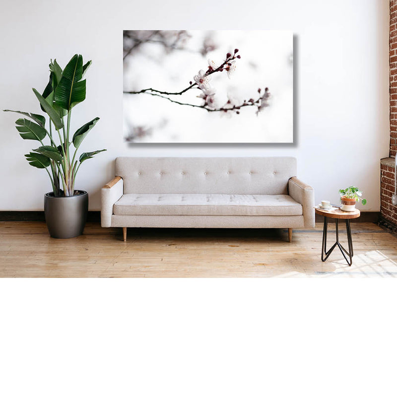 Variaties Kersenbloesem 8