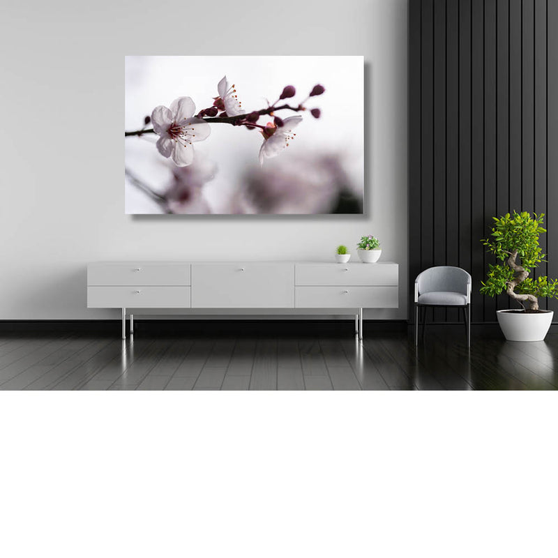 Variaties Kersenbloesem 9