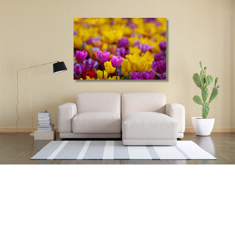 Dans van Geel en Roze