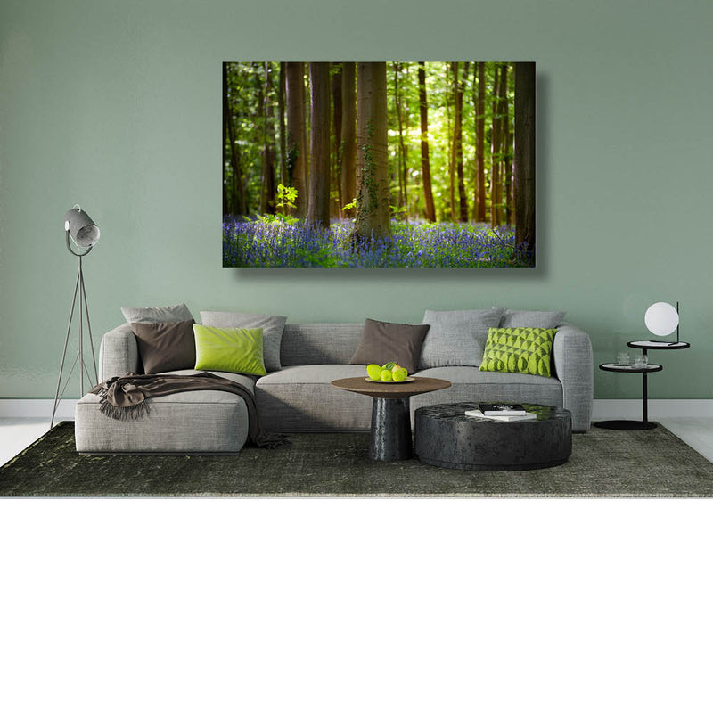 Op zoek naar de boshyacint 7