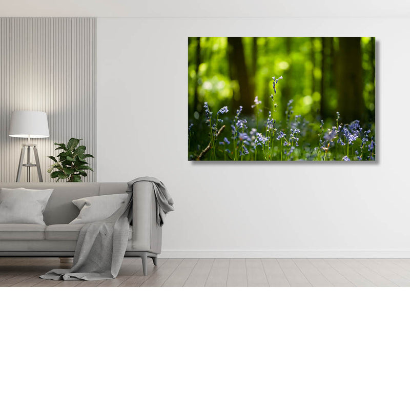 Op zoek naar de boshyacint 8