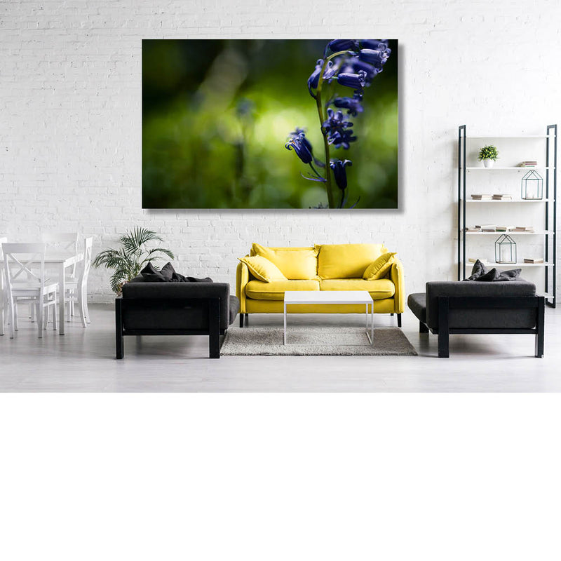 Op zoek naar de boshyacint 9