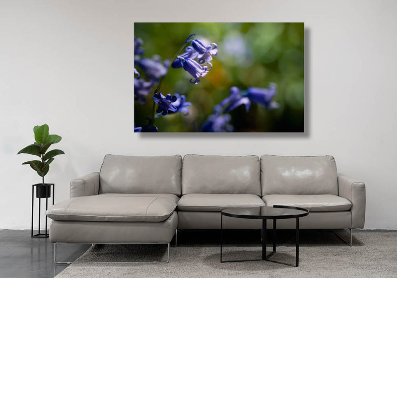 Op zoek naar de boshyacint 10