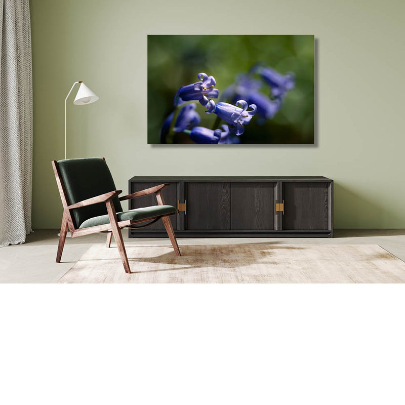 Op zoek naar de boshyacint 11