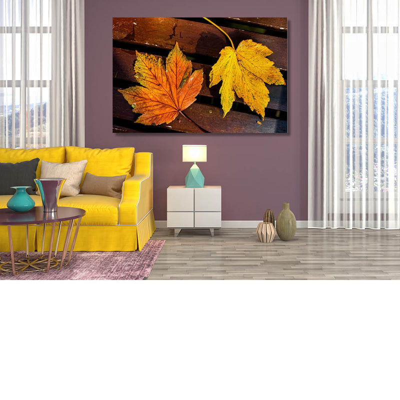 Geel en bruin in de herfst