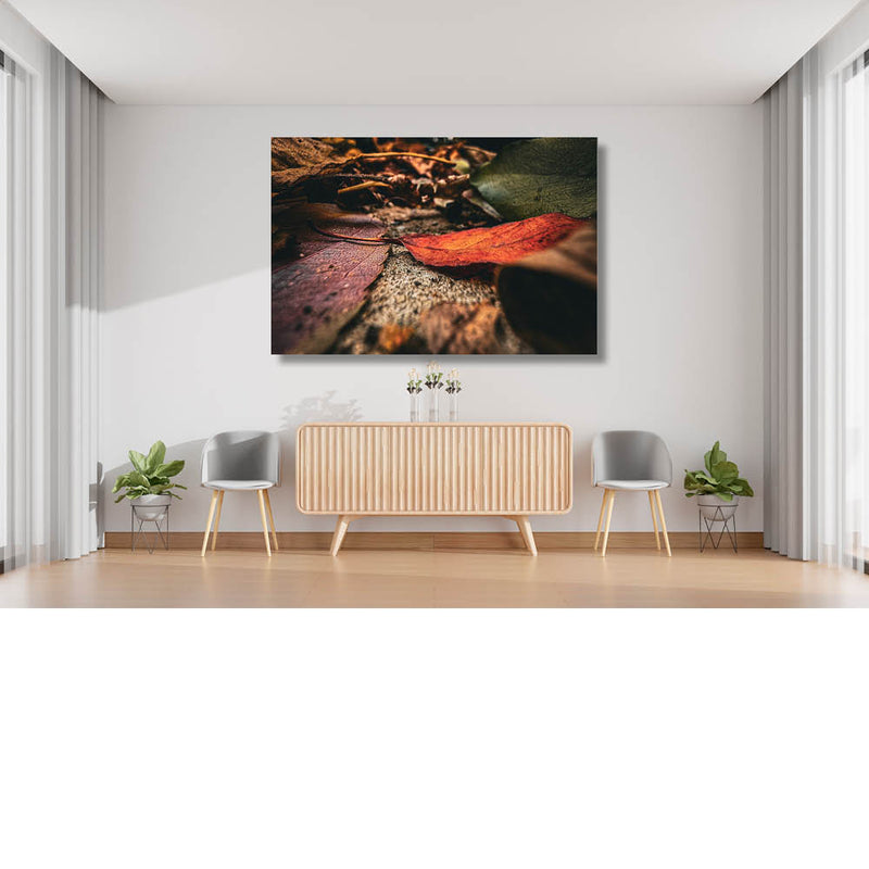 Herfstbladeren op de grond