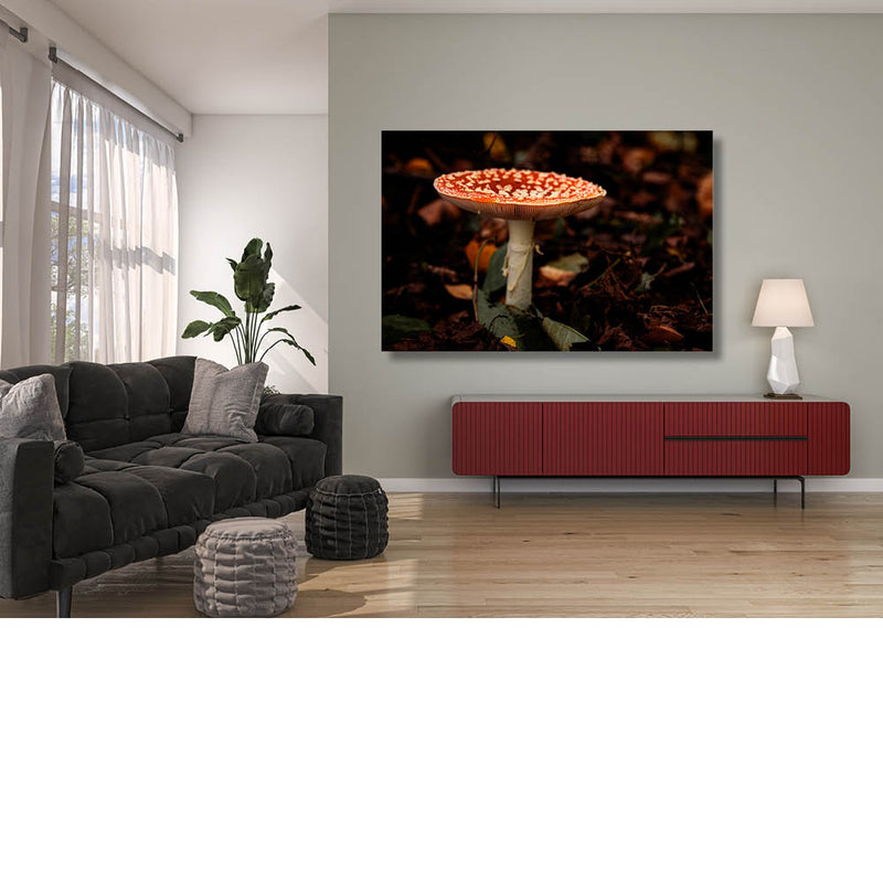 Rood met witte stippen