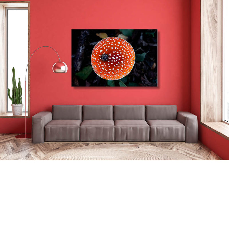 Rond op rood rond
