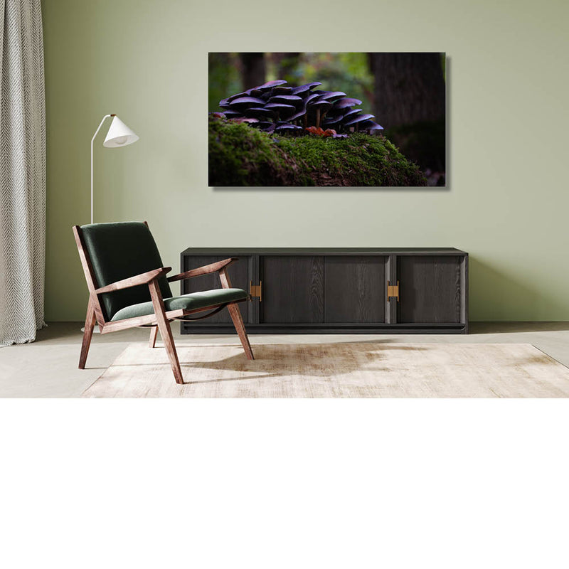 Paarse oesterzwammen