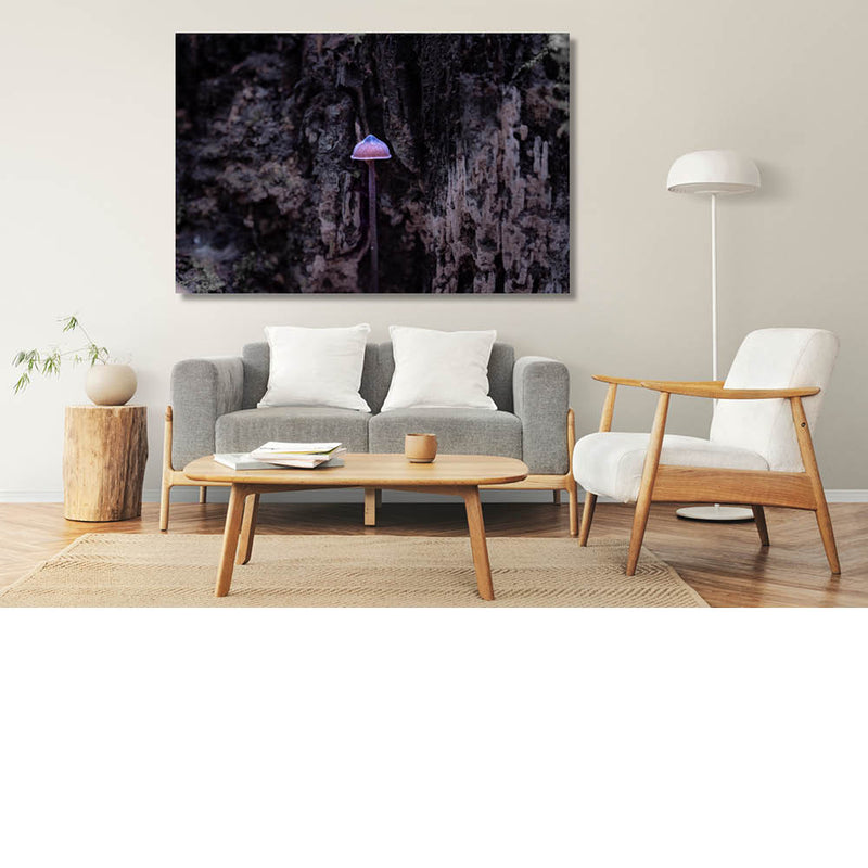 Paddenstoeltje met een hoedje