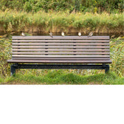 Zitbankje bezet door vogels