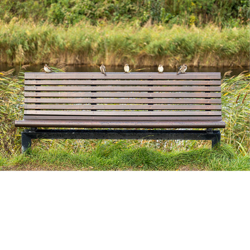 Zitbankje bezet door vogels