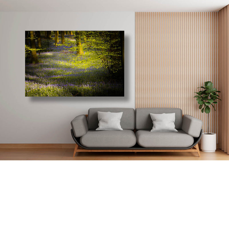 Hallerbos