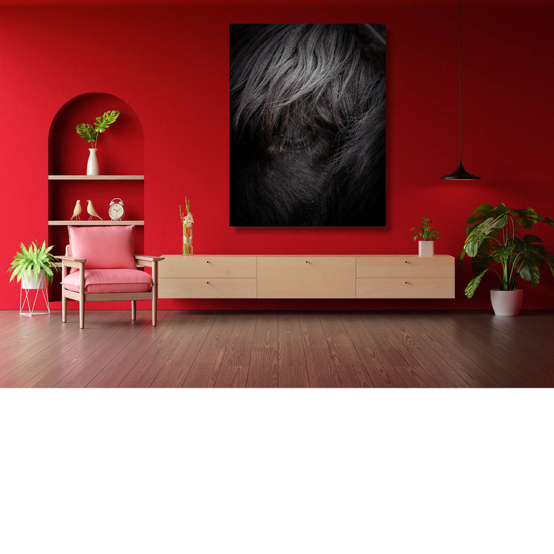 Oog van hooglandrund