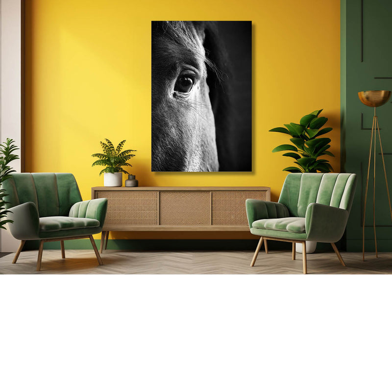 Half portret van paardenhoofd