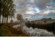 Koeien in de wei naast de dender